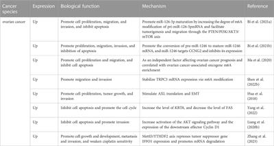 The role of RNA methyltransferase METTL3 in gynecologic cancers: Results and mechanisms